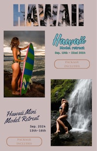 a flyer for hawaii's hawaii mini resort